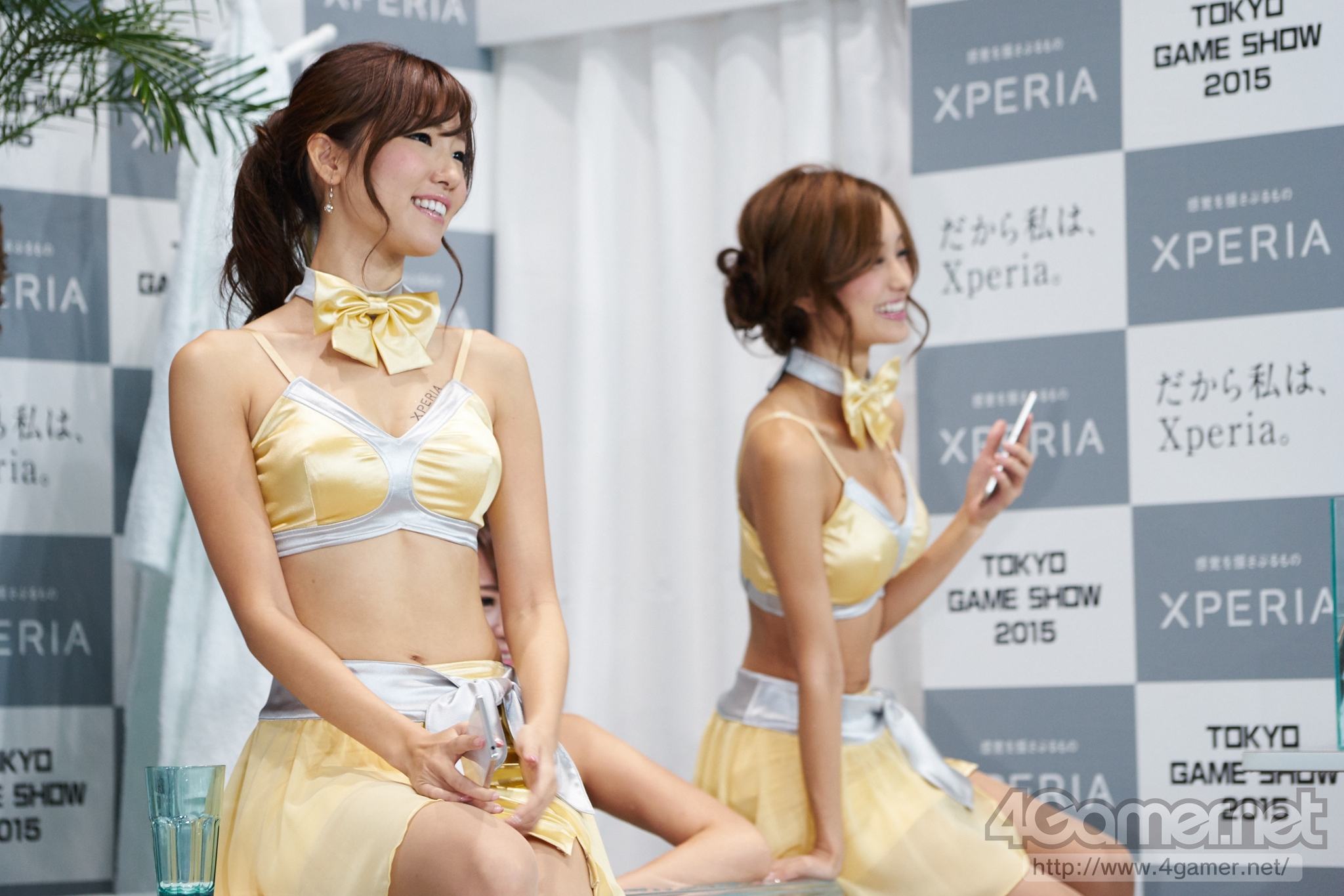 TGS 2015 Booth Babes #19