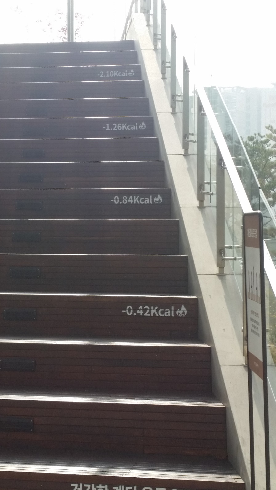 Calorie-Counting Stairs