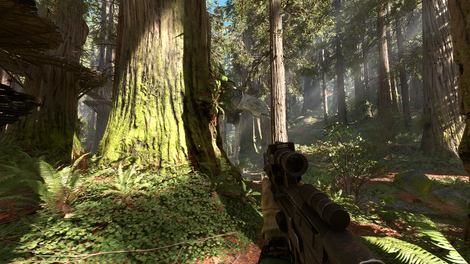 PC Endor #2