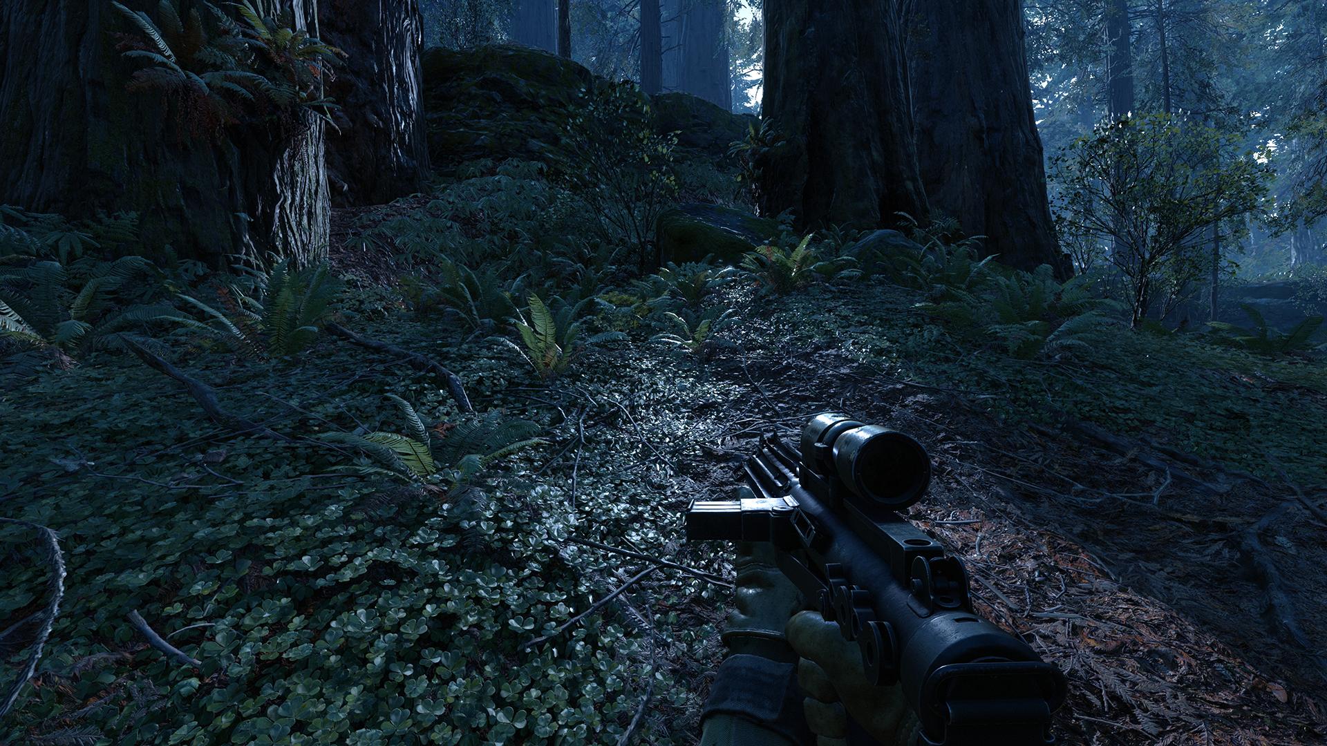 PC Endor at Night