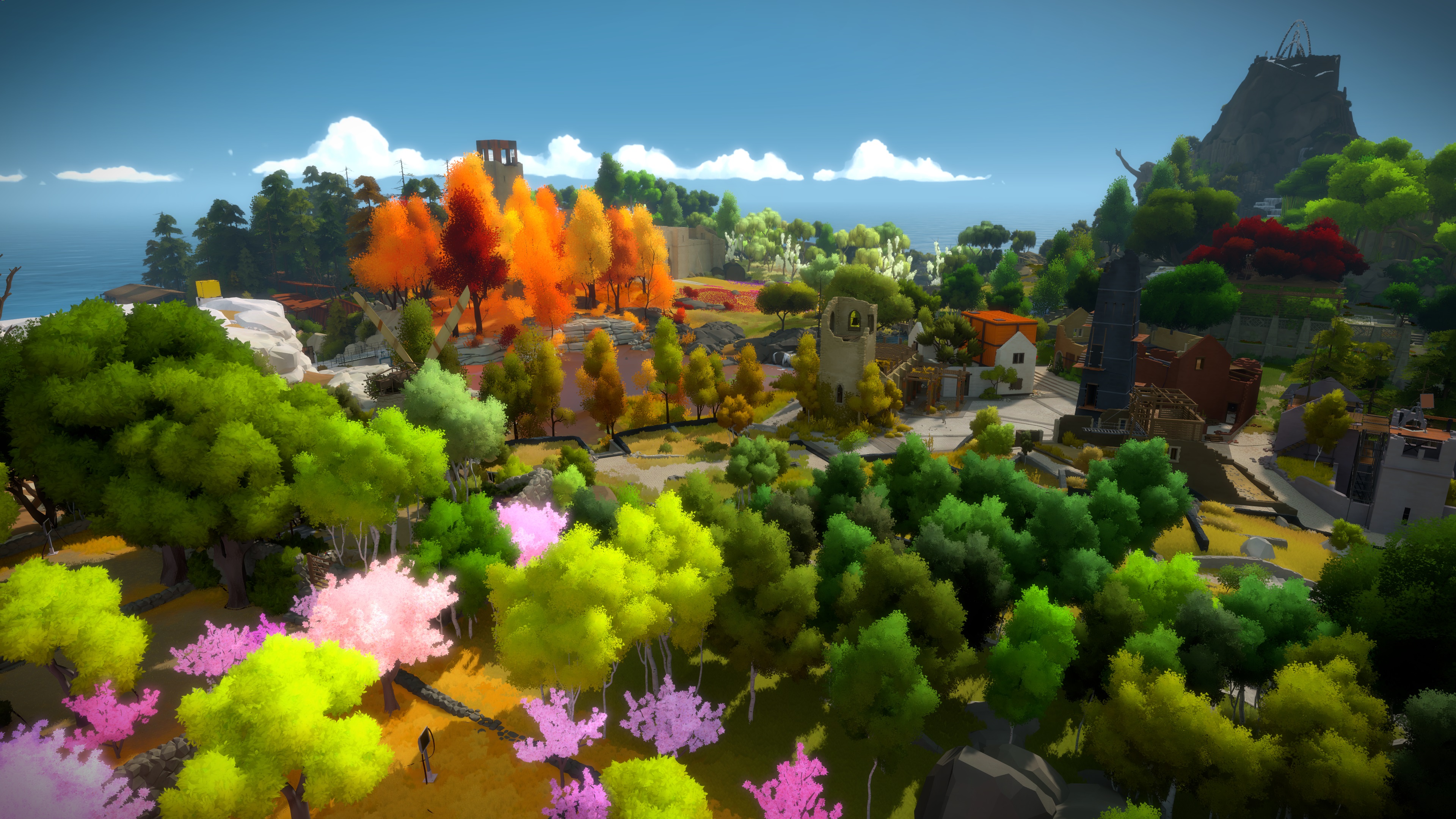 The Witness #9