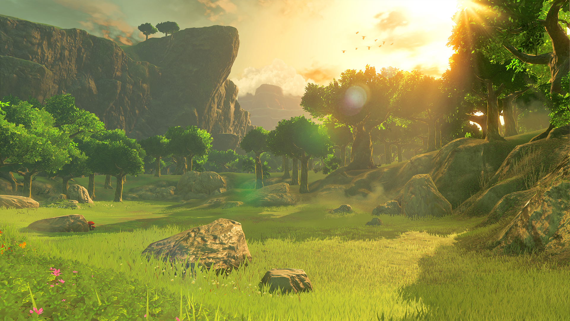 The Legend of Zelda: Breath of the Wild #5