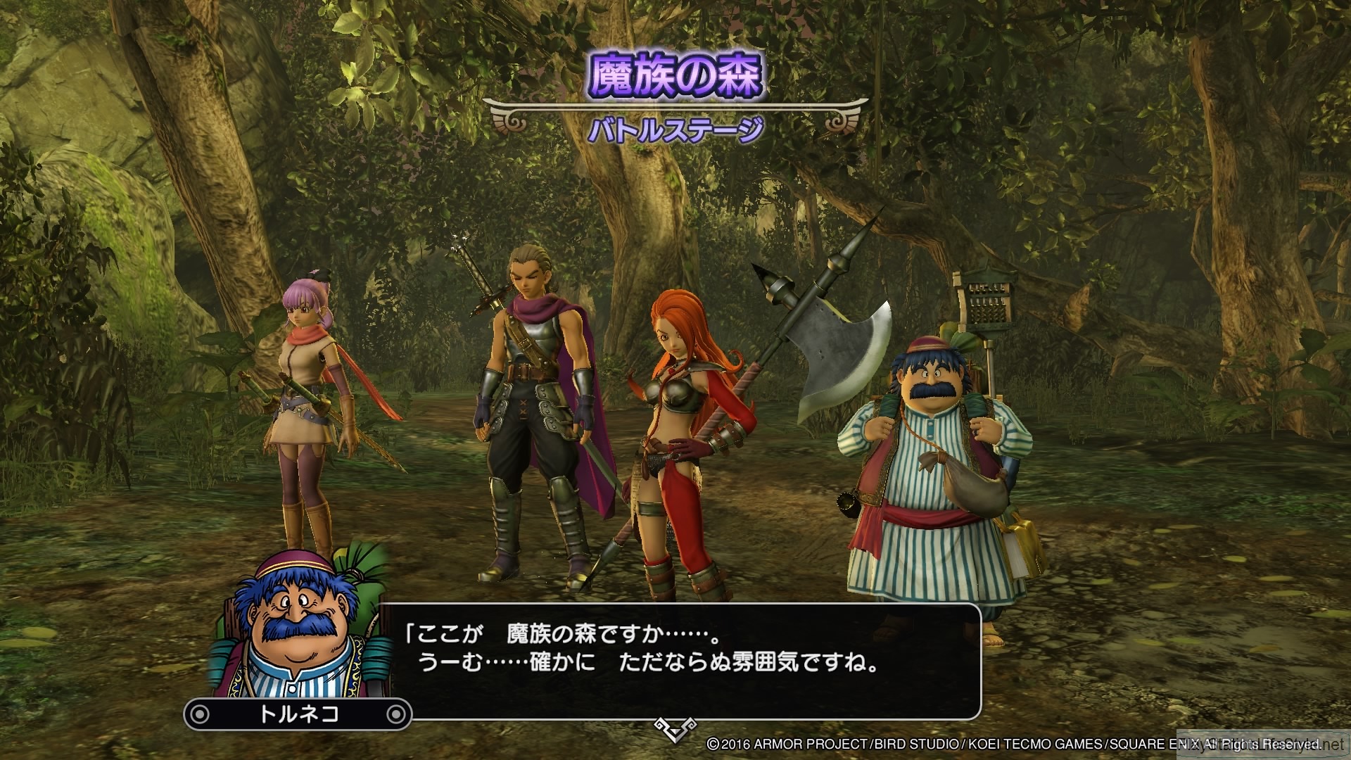 Dragon Quest Heroes 2 (July 2) #16
