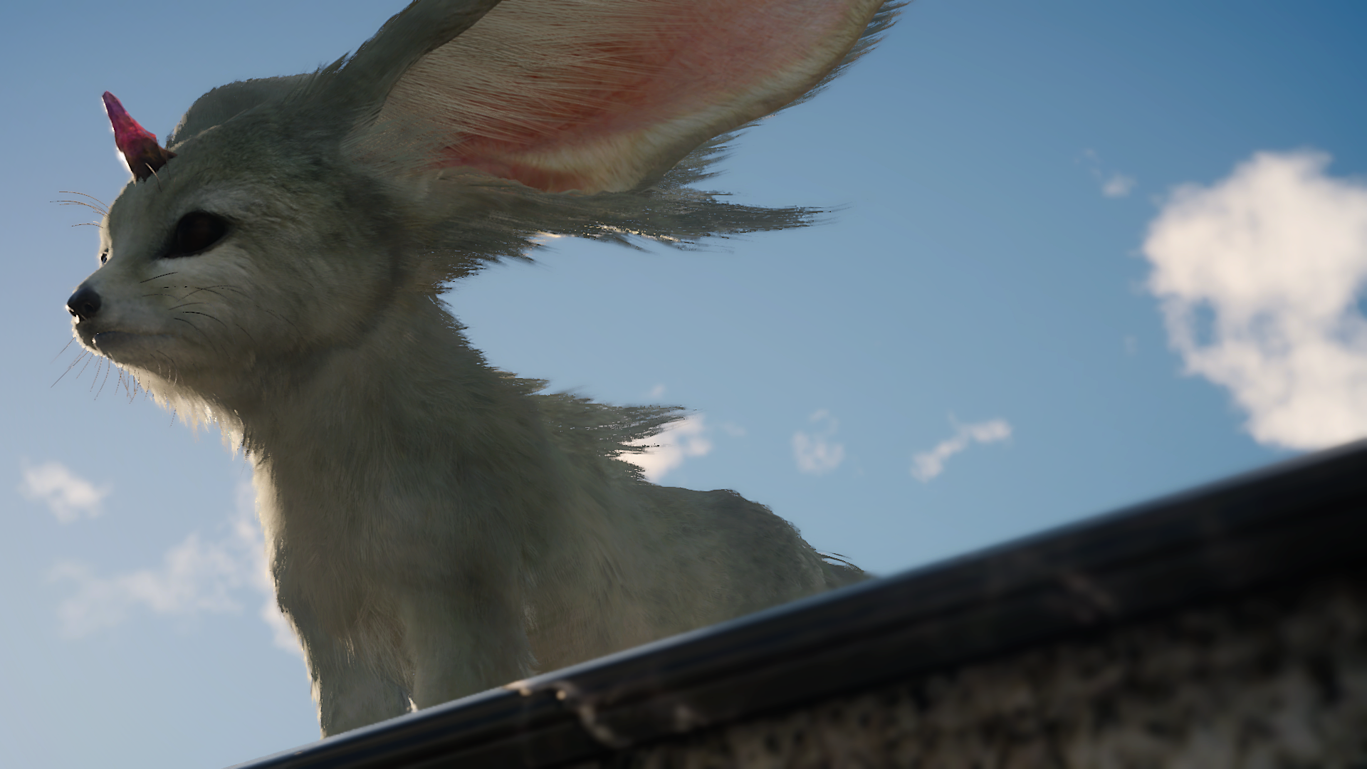 Carbuncle