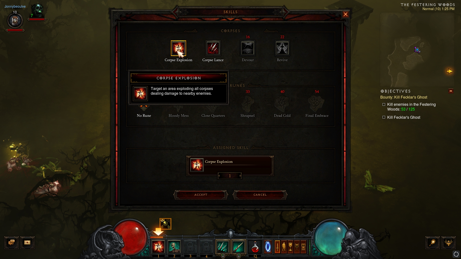 Diablo 3: Necromancer Abilities #7