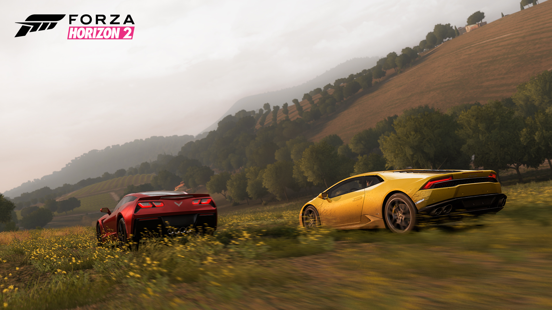 Forza Horizon 2 Screens #10