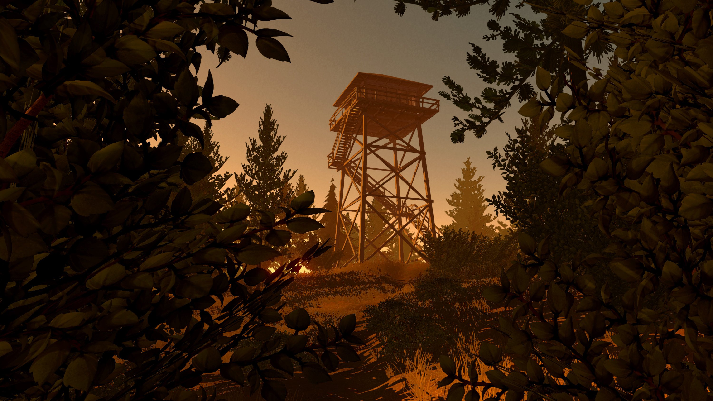 firewatch #4