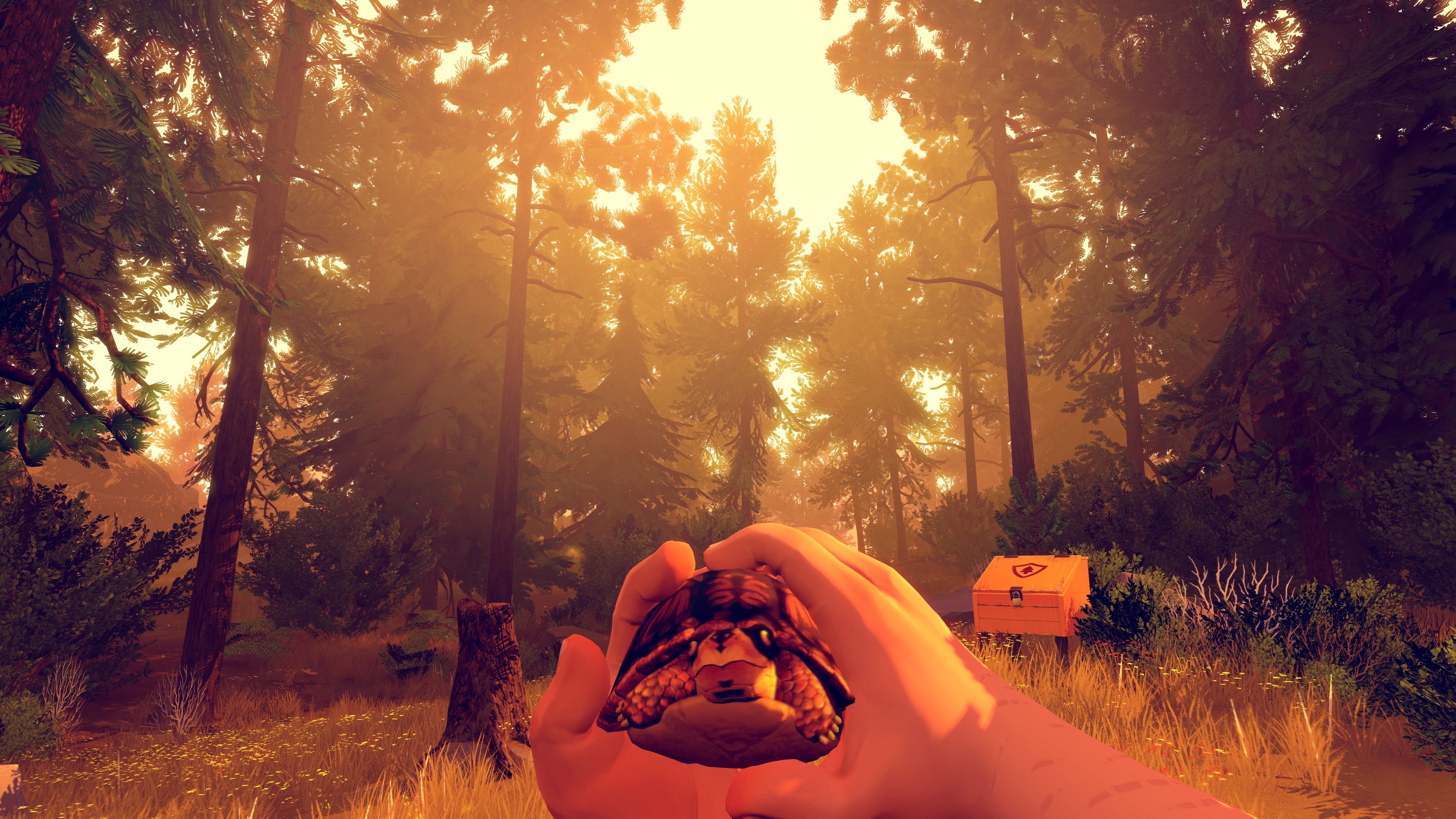 firewatch #6