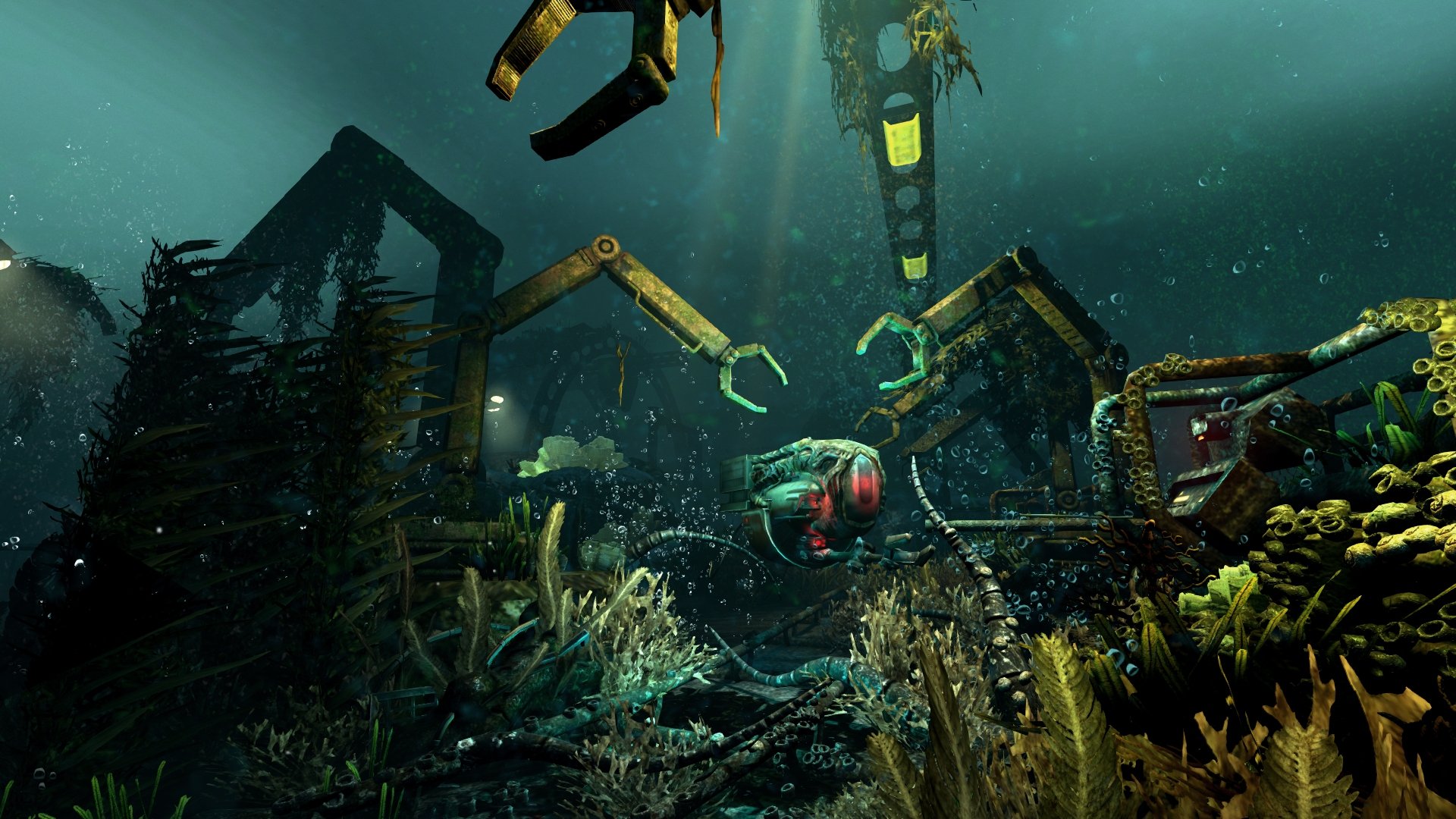 soma #6