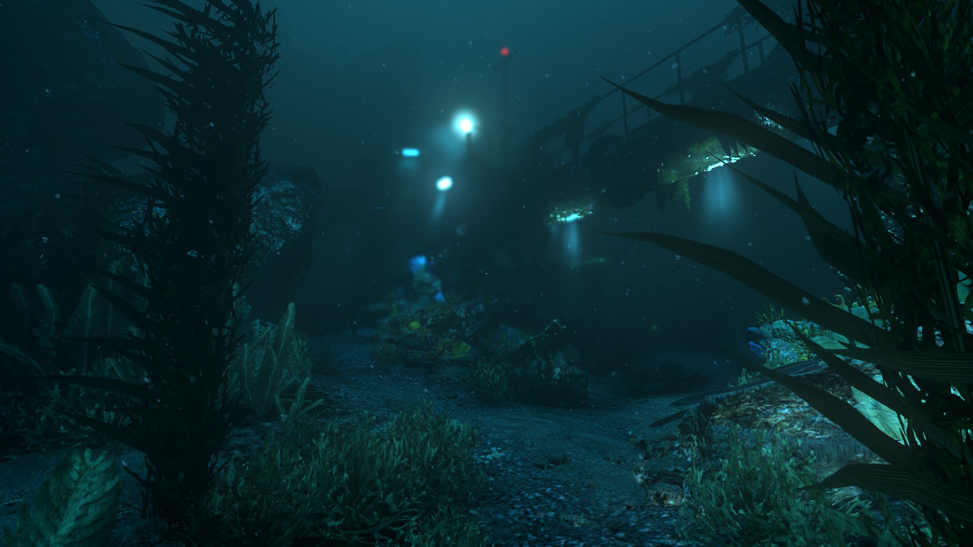 soma #10