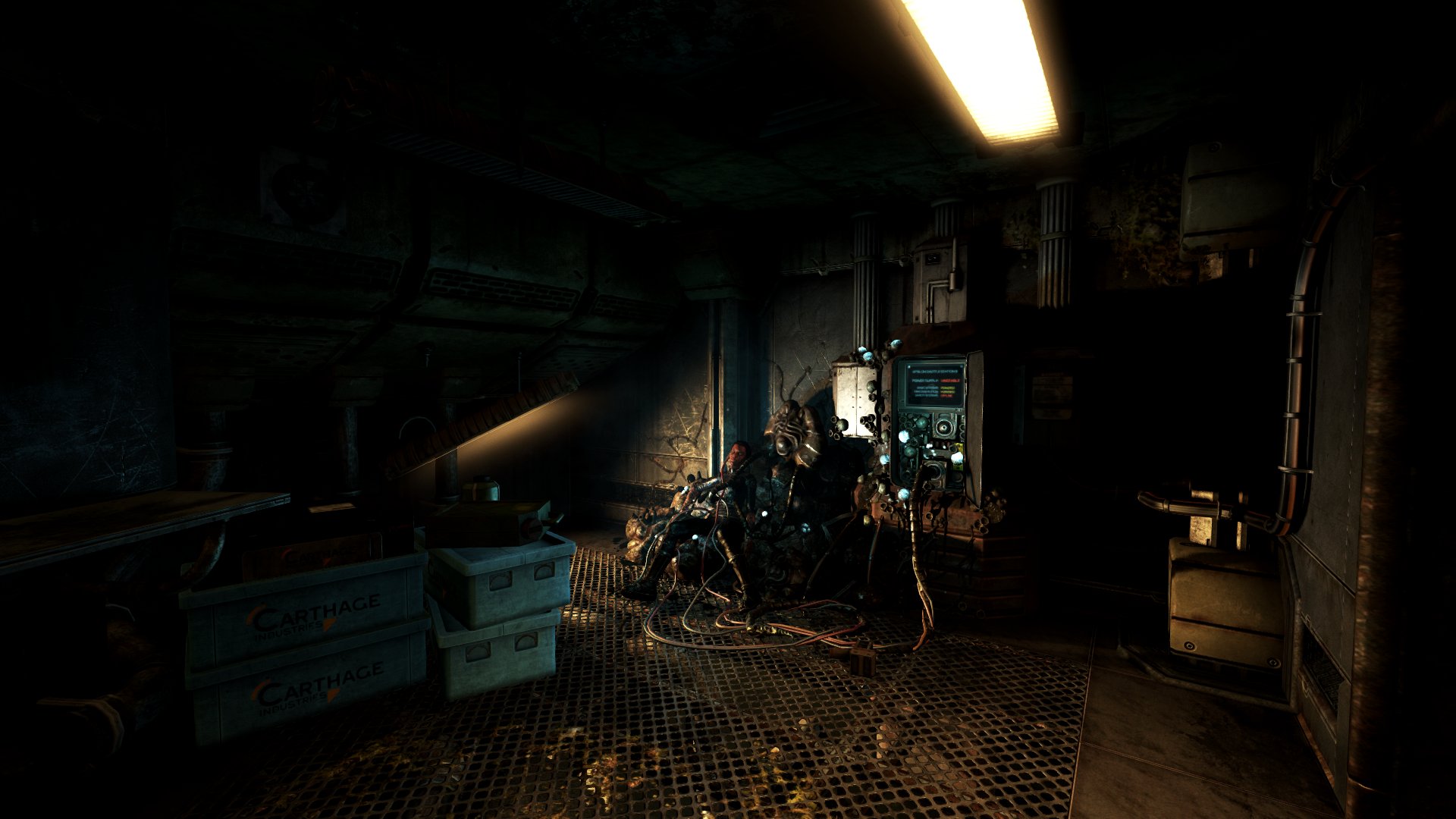 soma #11